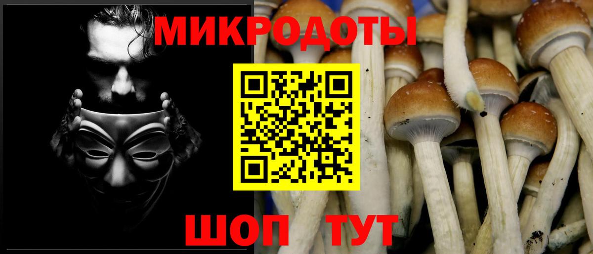 Псилоцибиновые грибы Magic Shrooms  Псилоцибиновые грибы мухоморы  Конаково  Вход с VPN 